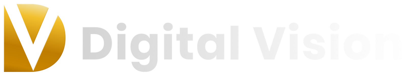 Digital Vision - Your Gateway to Global Business Success